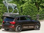 Audi Q5 by Senner Tuning 2011 года